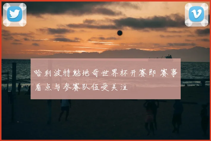 哈利波特魁地奇世界杯开赛即 赛事看点与参赛队伍受关注